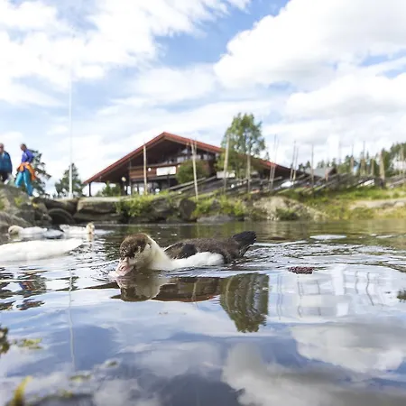 Domek letniskowy Hytter Dombas