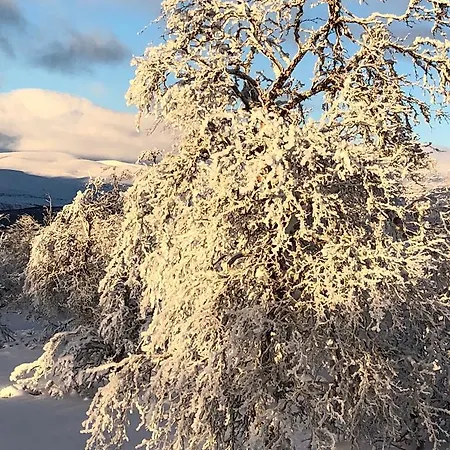 Gerendaház Hytter Dombas