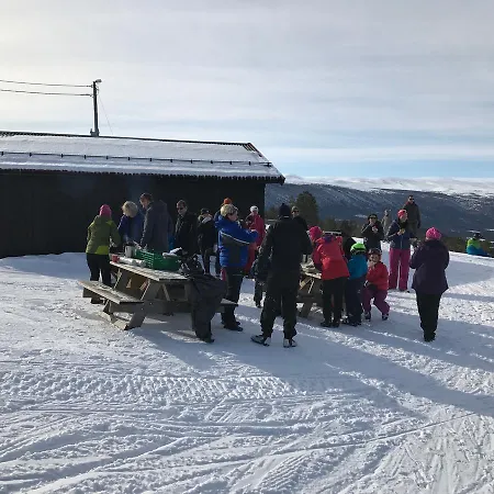 Hytter Dombås *