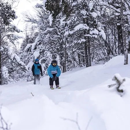 Gerendaház Hytter Dombas *