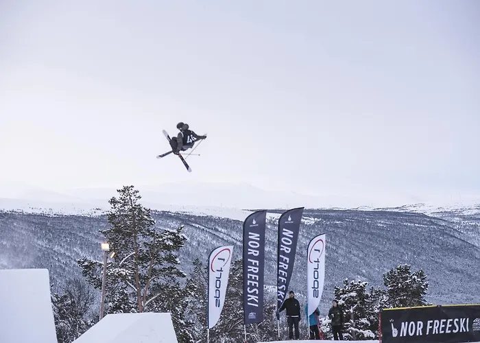 Lodge Hytter Dombas Dombås